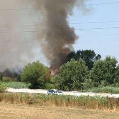 Incendi Terminato Il Periodo Di Divieto Di Abbruciamento Vegetali Si