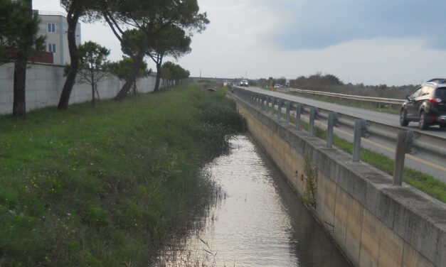 EMANATA L’ORDINANZA SUI FOSSI DI SCOLO: OBBLIGO  DI RIPULITURA