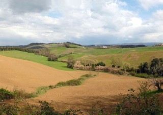 Parrana San Martino