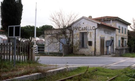 A VICARELLO ESERCITAZIONE DI GRUPPI CINOFILI SPECIALIZZATI NELLA RICERCA DI PERSONE DISPERSE IN SUPERFICIE E SOTTO LE MACERIE