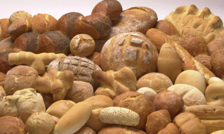 AL VIA IL 13 OTTOBRE IL LABORATORIO DI PANIFICAZIONE