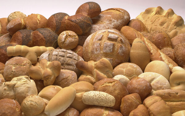 AL VIA IL 13 OTTOBRE IL LABORATORIO DI PANIFICAZIONE