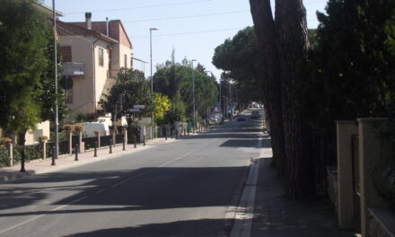 ECCO PERCORSI E ORARI DEL TRASPORTO SCOLASTICO