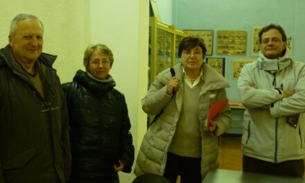 CDF VICARELLO: «HA ANCORA SENSO IL CONSIGLIO DI FRAZIONE?»