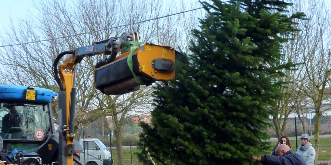 UNA FESTA DEGLI ALBERI NEL SEGNO DEL NATALE