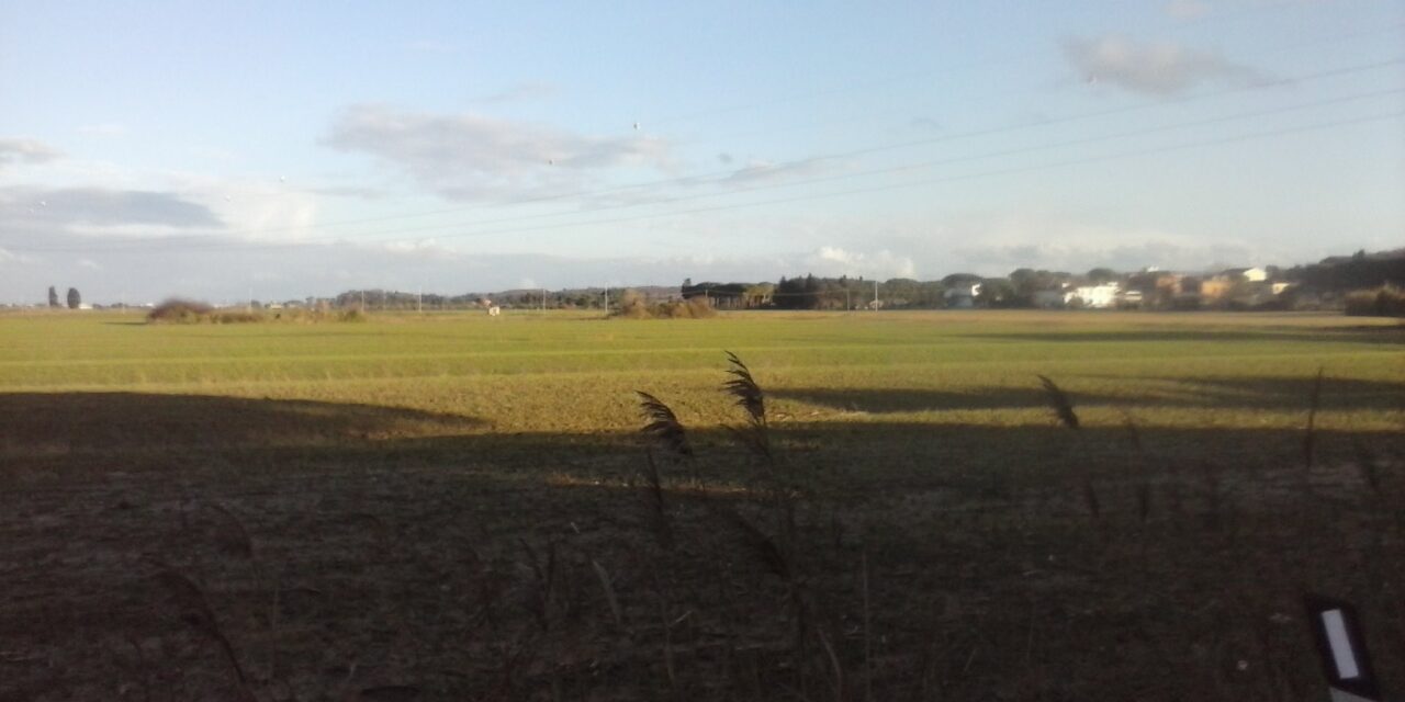 GUASTICCE: SPARI DEI CACCIATORI VICINO ALLE ABITAZIONI