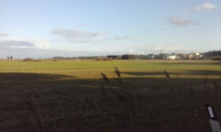 GUASTICCE: SPARI DEI CACCIATORI VICINO ALLE ABITAZIONI