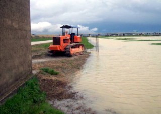 Il proprietario Luciano Novi ha rimosso l'acqua piovana che ha allagato 35 ettari dei suoi terreni nel marzo-aprile 2013