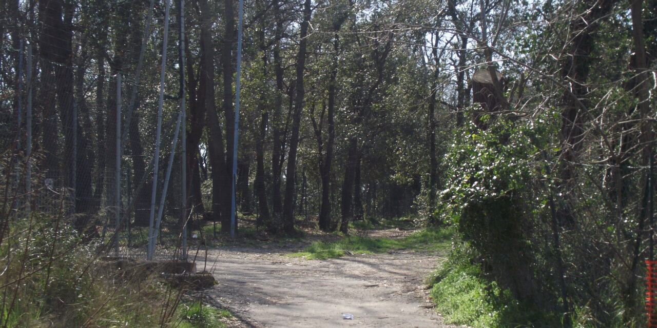 NEL PROGETTO “BOSCO DI STAGNO” COINVOLTI OLTRE 500 RAGAZZI. SARANNO I CITTADINI A SCEGLIERE A CHI INTITOLARLO