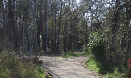 UN BANDO DI CONCORSO PER UN PROGETTO DI RIQUALIFICAZIONE DEL BOSCO DI STAGNO