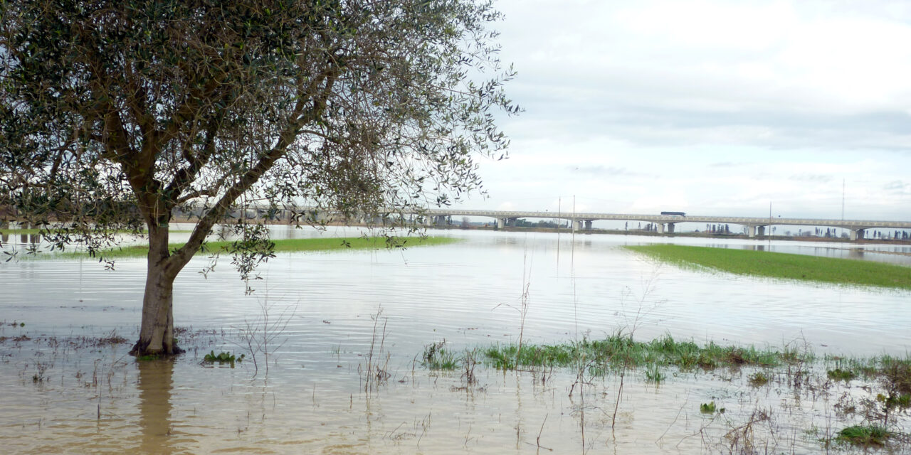 NUGOLA SRL: «I NOSTRI CAMPI SOMMERSI DAL 30 GENNAIO. NON SIAMO TUTELATI»