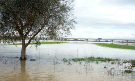 NUGOLA SRL: «I NOSTRI CAMPI SOMMERSI DAL 30 GENNAIO. NON SIAMO TUTELATI»