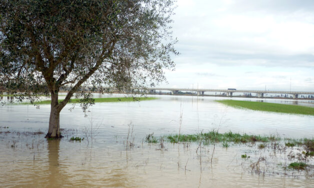 NUGOLA SRL: «I NOSTRI CAMPI SOMMERSI DAL 30 GENNAIO. NON SIAMO TUTELATI»