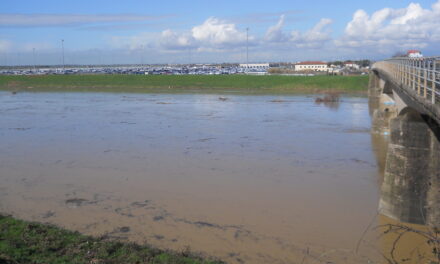 LA REGIONE: “AVVIATA L’APERTURA DELLO SCOLMATORE: AVVISATI I COMUNI DI COLLESALVETTI E LIVORNO”