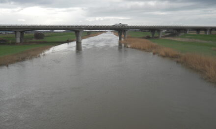 CADAVERE NELLO SCOLMATORE: É IULIAN PATRU, ROMENO 43ENNE