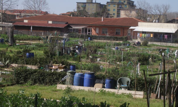 STAGNO: L’ASSESSORE DEMI RASSICURA SULLA QUALITÀ DELL’ARIA: «DATI CONFORTANTI»