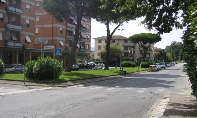 A STAGNO (IN PIAZZA DI VITTORIO) SI ALLONTANANO GLI UCCELLI CON DISSUASORI SONORI