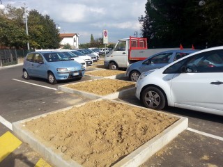 Piazza II Giugno, gli spazi dove verranno piantati i nuovi alberi