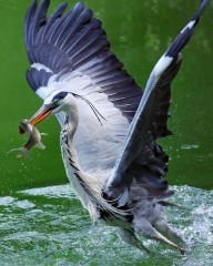 Foto di Elena Bacchi
