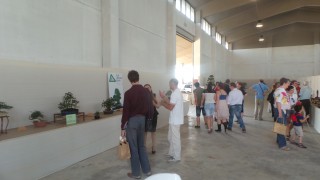 Orizzonte Bonsai 2015 2