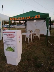 Collesalviamo l'ambiente 2