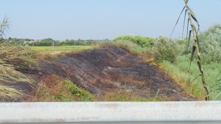 incendio 2
