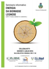 seminario biomasse