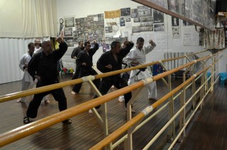 ASD Club Sport Collesalvetti