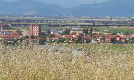 ALL’ALBA CLARA DI GUASTICCE ANDRÀ IN SCENA L’OPERA COLLIGIANA “DE’ RELITTI E DELLE QUARANTENE”