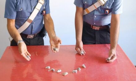 AFFIDATI AI SERVIZI SOCIALI A PARRANA SAN MARTINO, SPACCIANO DENTRO LA COMUNITÀ