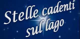 Stelle cadenti sul lago