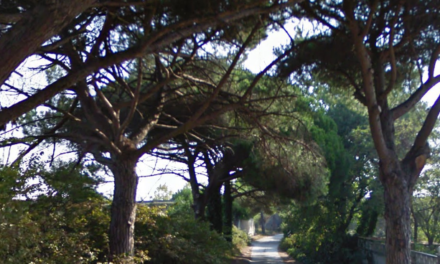 LITE A STAGNO FRA DUE PROSTITUTE PER IL POSTO. STRATTONAMENTI E ACCAPIGLIAMENTI. INTERVIENE LA POLIZIA