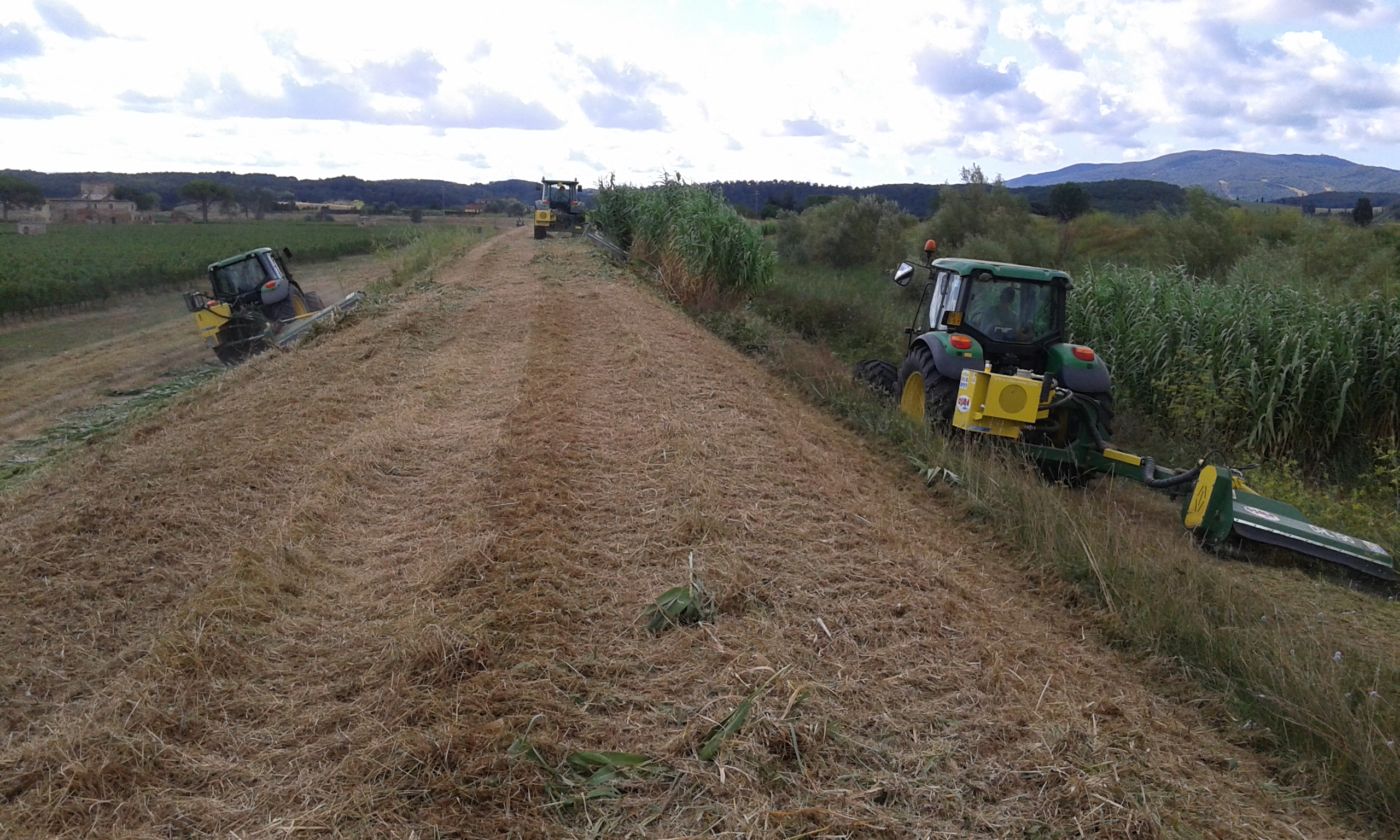 AVVIATA LA MANUTENZIONE SUL TORA. AL VIA IL TAGLIO ERBA, MA PER LA RIMOZIONE DELLE PIANTE IN ALVEO MANCA L’OK DELLA REGIONE