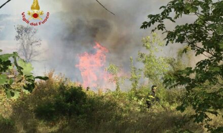 INCENDIO A PARRANA SAN MARTINO. LE FIAMME SONO PARTITE DA UN CAMPO DI STERPAGLIE E SI SONO PROPAGATE VERSO IL BOSCO