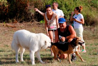 Passeggiata eno-gastronomica a Castell'Anselmo (foto di Stefano Querci 1)