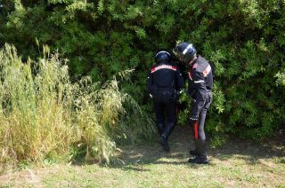 spaggio-nel-bosco-a-stagno