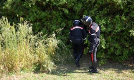 SPACCIO DI DROGA IN UNA TENDA NEL BOSCO DI STAGNO. 2 ARRESTI