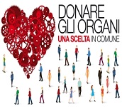 DONARE ORGANI E TESSUTI. ECCO COME SI PUÒ FORMALIZZARE QUESTA VOLONTÀ: IN COMUNE, ALL’ASL O IN ALTRO MODO