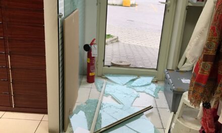 SFONDANO LA PORTA-VETRATA, ENTRANO NELLA FARMACIA DI STAGNO E PORTANO VIA CIRCA 1.000 EURO