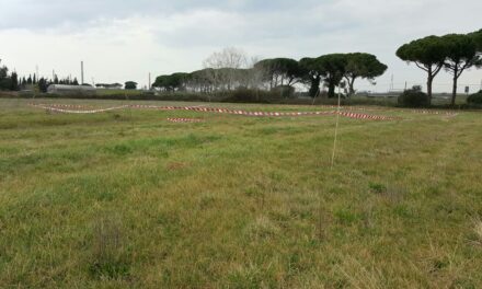 RITROVATO A STAGNO UN COLPO DI MORTAIO DELLA SECONDA GUERRA MONDIALE. INTERVERRANNO GLI ARTIFICIERI DELL’ESERCITO