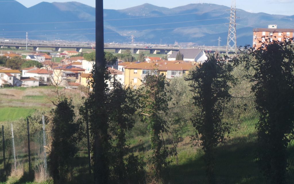 GUASTICCE, CHIESTO IL DIVIETO DI INGRESSO AI CANI NEL CAMPETTO ADIACENTE LA SCUOLA. INDIVIDUATA UN’APPOSITA AREA PER GLI AMICI A 4 ZAMPE: ECCO DOVE