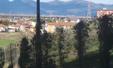 GUASTICCE, CHIESTO IL DIVIETO DI INGRESSO AI CANI NEL CAMPETTO ADIACENTE LA SCUOLA. INDIVIDUATA UN’APPOSITA AREA PER GLI AMICI A 4 ZAMPE: ECCO DOVE