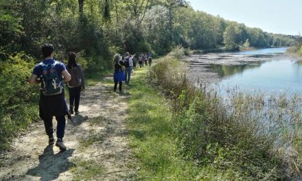 “WORLD MIGRATORY BIRD DAY”: CON GAIA UNA PASSEGGIATA FRA BIRD-WATCHING E FOTO NATURA