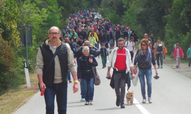 25 APRILE: COLOGNOLE E IL COMUNE TUTTO IN FESTA PER LA 14ESIMA EDIZIONE DELLA CAMMINATA DELLA PACE