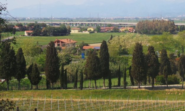 1° MAGGIO: LA PRO LOCO VICARELLO ORGANIZZA UNA SCAMPAGNATA A MORTAIOLO