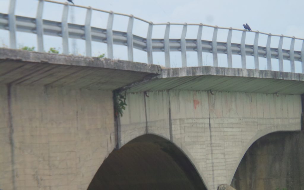 MONITORAGGIO PONTI: AL VIA I CONTROLLI DEI TECNICI. 164 LE STRUTTURE SOTTO ESAME IN TOSCANA