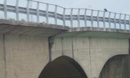 MONITORAGGIO PONTI: AL VIA I CONTROLLI DEI TECNICI. 164 LE STRUTTURE SOTTO ESAME IN TOSCANA