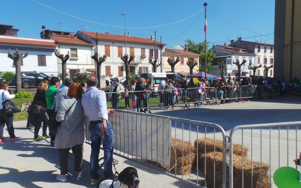 A STAGNO TUTTI ASSIEME AI NOSTRI AMICI A 4 ZAMPE CON L’ARTEMIDE ASD. ECCO TUTTI I NOMI DEI VINCITORI