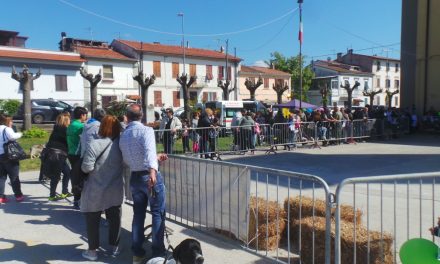 A STAGNO TUTTI ASSIEME AI NOSTRI AMICI A 4 ZAMPE CON L’ARTEMIDE ASD. ECCO TUTTI I NOMI DEI VINCITORI