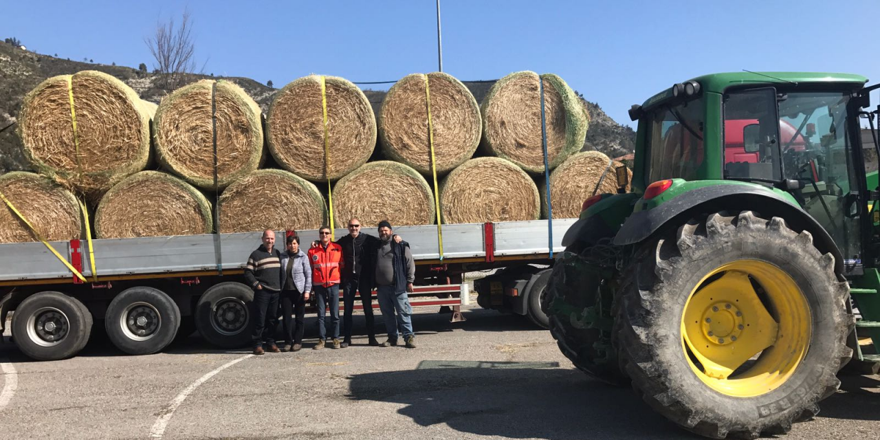 VICARELLO SOLIDALE ANCORA UNA VOLTA: DONATI ALLE ZONE TERREMOTATE ROTOLI DI FIENO E PAGLIA